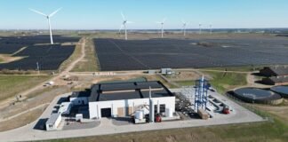 La primera planta de amoníaco verde del mundo está en Dinamarca y recibe energía eólica y solar
