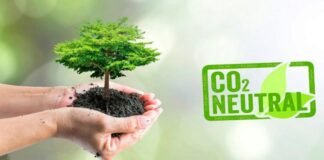 Grupo Galicia logró la neutralidad de carbono