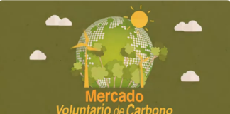 BYMA lanza el Mercado Voluntario de Carbono para negociar certificados en Argentina