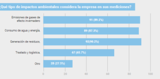 ¿Cómo gestionan las empresas las áreas de Ambiente Y Seguridad?