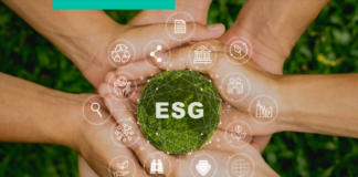 Nuevas ISO, nuevos desafíos para empresas sostenibles y con igualdad de género ESG