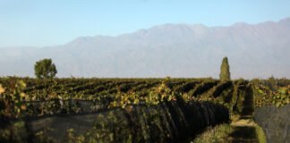 Lanzan calculadora para medir emisiones de bodegas