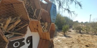 La bodega riojana que protege a los polinizadores