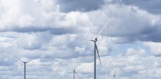 Ternium ya cubre el 90% de su consumo energético con renovables de su parque eólico