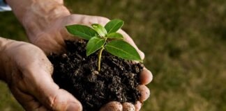 Bioinsumos: Casafe abre convocatoria científica