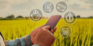 Syngenta y Nera impulsan beneficios financieros para productores sostenibles del agro agro-sostenible