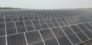 Dow abastece su planta en Bahía Blanca con 74% de energía renovable y va por el 100%