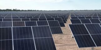 Unilever apuesta fuerte a la energía solar en Argentina