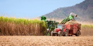 Arcor avanza en alimentación saludable con metas al 2030