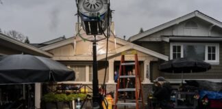 Netflix invertirá en créditos de carbono con la American Forest Foundation