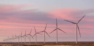 Primeras EPD verificadas para energía eólica en Argentina