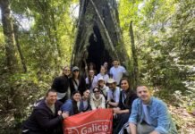 El “Efecto Galicia”: Inversión millonaria, carbono neutro y el foco en las comunidades Accion-voluntariado- en-Bosque-Galicia- Misiones