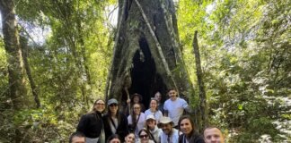 El “Efecto Galicia”: Inversión millonaria, carbono neutro y el foco en las comunidades Accion-voluntariado- en-Bosque-Galicia- Misiones