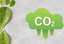 Europa endurece su meta 2040, pero mantiene una vía flexible con créditos de carbono