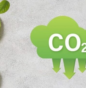 Europa endurece su meta 2040, pero mantiene una vía flexible con créditos de carbono