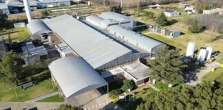 Henkel opera su planta de Chivilcoy con energía 100% renovable