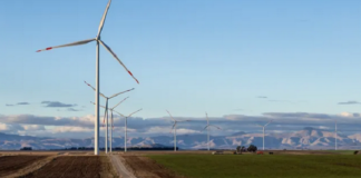 Minería sustentable: El giro renovable de Piedra Grande y PCR