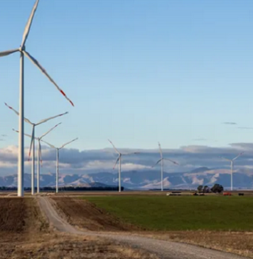 Minería sustentable: El giro renovable de Piedra Grande y PCR
