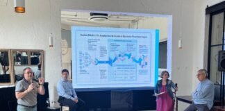 Inclusión Silver: Banco Comafi y Diagonal lanzan un tutor de IA para finanzas +50 Comafi-Diagui-IA