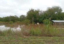 Naranja X y Cruz Roja activan ayuda directa para miles de evacuados en Tucumán inundaciones-Tucumán.jpg