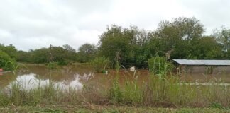 Naranja X y Cruz Roja activan ayuda directa para miles de evacuados en Tucumán inundaciones-Tucumán.jpg