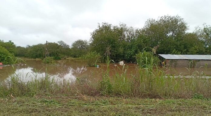 Naranja X y Cruz Roja activan ayuda directa para miles de evacuados en Tucumán inundaciones-Tucumán.jpg