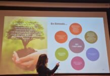 La nueva versión de la ISO 14001 con más gestión ambiental real