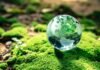 Día Mundial del Ambiente: reducir emisiones ya es una obligación para las empresas