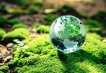 Día Mundial del Ambiente: reducir emisiones ya es una obligación para las empresas