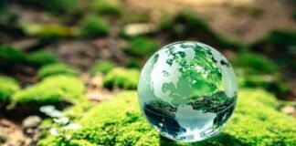 Día Mundial del Ambiente: reducir emisiones ya es una obligación para las empresas