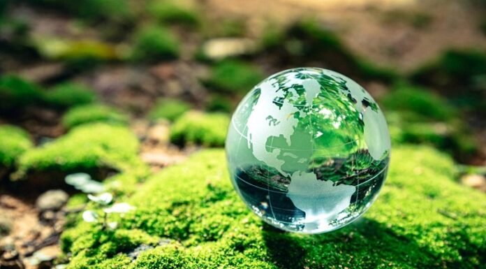 Día Mundial del Ambiente: reducir emisiones ya es una obligación para las empresas