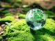 Día Mundial del Ambiente: reducir emisiones ya es una obligación para las empresas