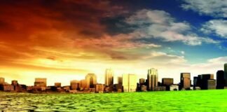 PwC: Los riesgos climáticos se afianzan como una prioridad estratégica para las empresas y se convierten en un driver estratégico para crear valor