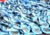 Vuelta Ballenas recuperó 6.000 kilos de plástico para las medallas de su 14.ª edición