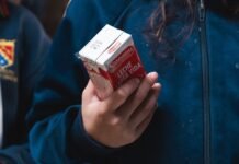 Día de la Leche Escolar: solo el 20% de los niños en Argentina realiza un desayuno completo
