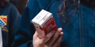 Día de la Leche Escolar: solo el 20% de los niños en Argentina realiza un desayuno completo