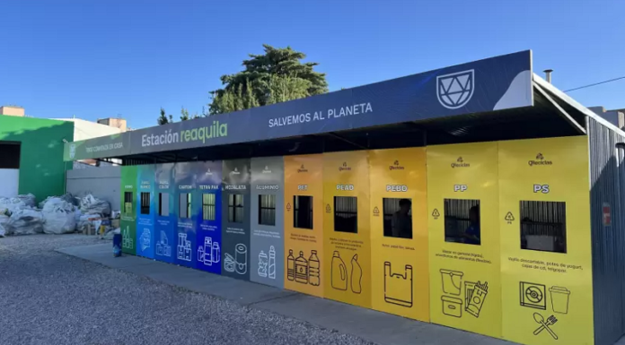 Día de la Conciencia Ambiental: Sancor Seguros fondea 7 startups de impacto